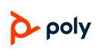 logo_poly